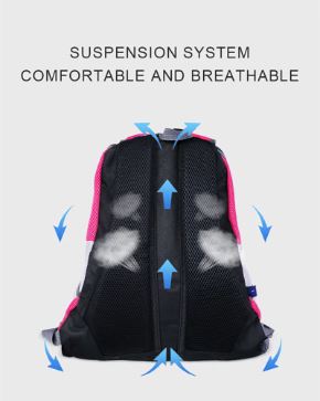 Carriers  For Small Pets